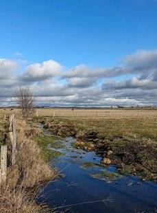 Le Chasseur Français 1466 Nouvialle, une narse qui va faire carrière