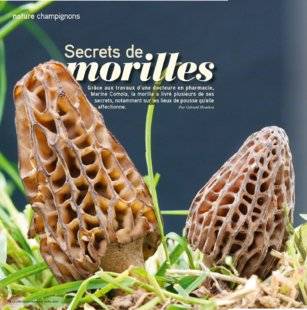 Le Chasseur Français 1466 Secrets de morilles