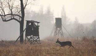 Le Chasseur Français 1466 Spécificités du droit de chasse en Alsace-Moselle