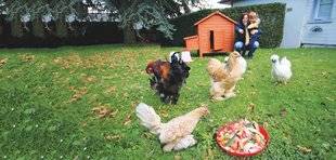 Le Chasseur Français 1467 Les poules sont tendance !