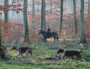 Le Chasseur Français 1467 Exercice de la grande vénerie