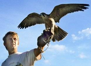Le Chasseur Français 1467 Fécondité de mai et jolis… mets