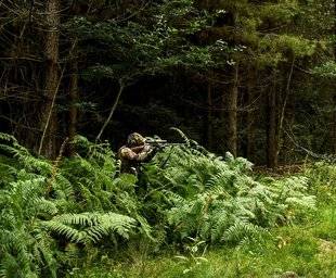 Le Chasseur Français 1468 À la recherche des brocards sarthois