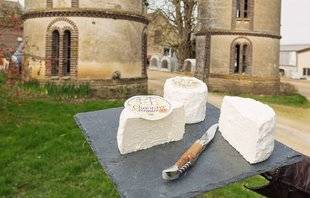 Le Chasseur Français 1468 Le chaource : un fromage tout en rondeurs
