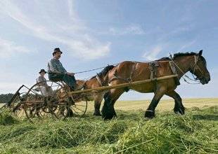 Le Chasseur Français 1468 Les limites du goût du terroir…