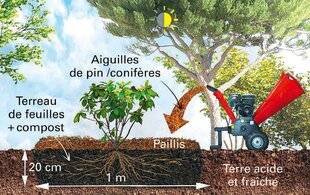 Le Chasseur Français 1539 Comment illuminer votre jardin avec des rhododendrons