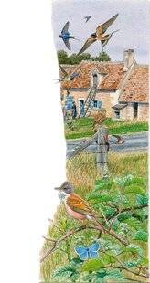 Le Chasseur Français 1540 L'almanach Juin