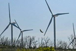 Le Chasseur Français 1540 Rapaces contre parc éolien