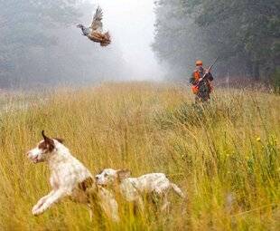 Le Chasseur Français 1540 Tu ne tueras point…