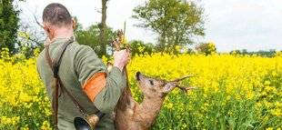 Le Chasseur Français 1540 À qui appartient le gibier tué ?