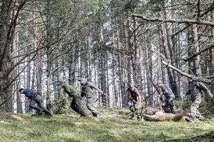 Le Chasseur Français 1541 Extension de la chasse du cerf au 1er juin : clap de fin !