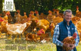 Le Chasseur Français 1541 Le poulet de Licques, une belle cuisse, mais pas que…