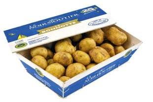 Le Chasseur Français 1541 C'est le moment : la pomme de terre de Noirmoutier