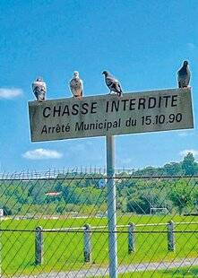 Le Chasseur Français 1542 Passage protégé