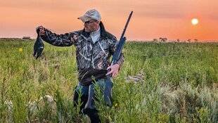 Le Chasseur Français 1542 Aux limicoles en bord de Seudre