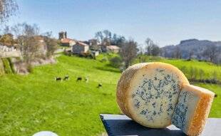 Le Chasseur Français 1542 La fourme de Montbrison, la douceur du Forez
