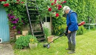 Le Chasseur Français 1542 Débroussailleuse sans fil Einhell