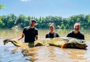 Le Chasseur Français 1543 Silure : nouveau record !