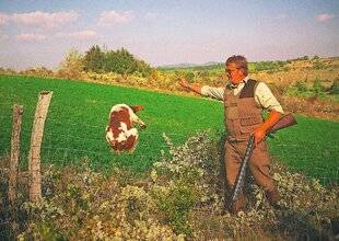 Le Chasseur Français 1543 Ouverture : retrouver les bons gestes avec son chien