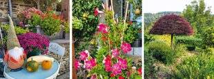 Le Chasseur Français 1543 Mon jardin en septembre