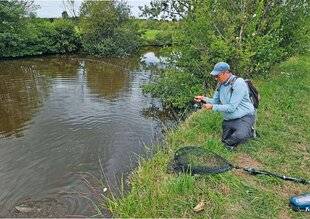 Le Chasseur Français 1544 Leurré par les marais du Cotentin