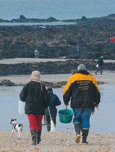 Le Chasseur Français 1545 Meilleure saison pour les ramasser