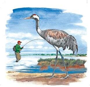 Le Chasseur Français 1545 La grue cendrée, la messagère de l'hiver