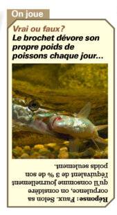 Le Chasseur Français 1545 Les mots du pêcheur