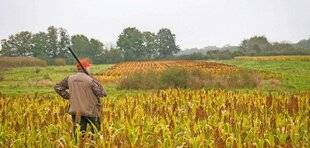 Le Chasseur Français 1545 Un territoire à petit gibier