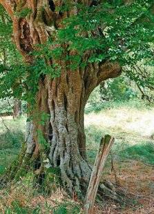 Le Chasseur Français 1545 Atout charme dans le Lot