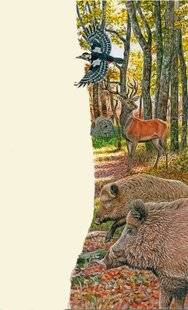 Le Chasseur Français 1545 Novembre