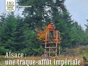 Le Chasseur Français 1545 Alsace : une traque-affût impériale