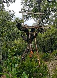 Le Chasseur Français 1545 La passion mauresque !