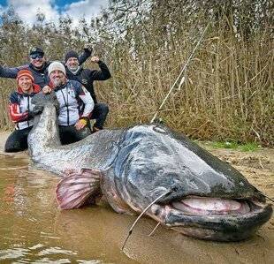 Le Chasseur Français 1546 Silure : record du monde battu en Pologne