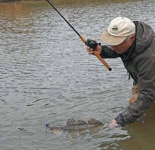 Le Chasseur Français 1546 Le sandre au jig