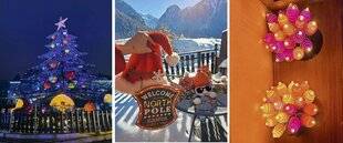 Le Chasseur Français 1546 Mon jardin en décembre