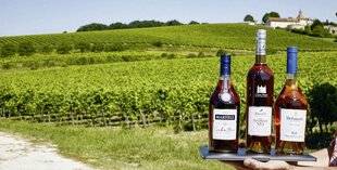 Le Chasseur Français 1546 Trois cognacs qui font aimer le cognac
