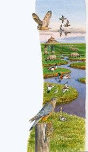 Le Chasseur Français 1547 Janvier