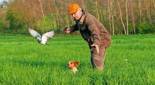 Le Chasseur Français 1547 L'entraînement de chiens de chasse