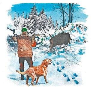 Le Chasseur Français 1547 Pistage du sanglier dans la neige