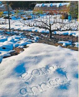 Le Chasseur Français 1547 Mon jardin en janvier