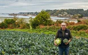 Le Chasseur Français 1547 Choux-fleurs et brocolis, de bons bouquets bretons