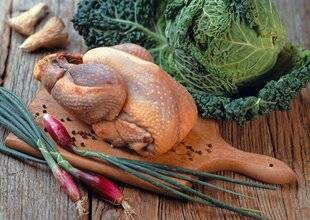 Le Chasseur Français 1547 La pintade, l'exception française