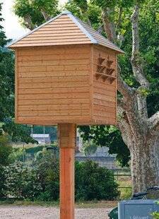 Le Chasseur Français 1548 Pigeons stérilisés en ville