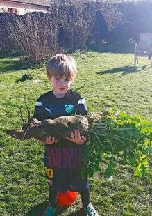 Le Chasseur Français 1548 Radis superstar