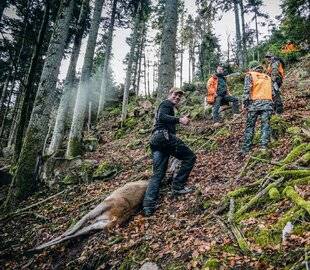 Le Chasseur Français 1548 Où en est-on ?