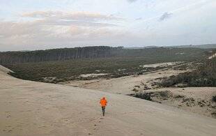 Le Chasseur Français 1548 Sangliers des dunes