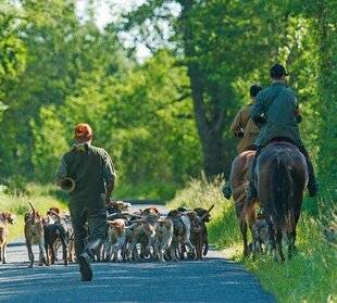 Le Chasseur Français 1548 Pas de révision de l'arrêté du 18/03/1982