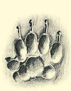 Le Chasseur Français 1548 À qui appartient cette empreinte ?