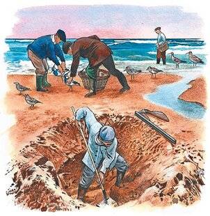 Le Chasseur Français 1548 Tradition Les « montres »